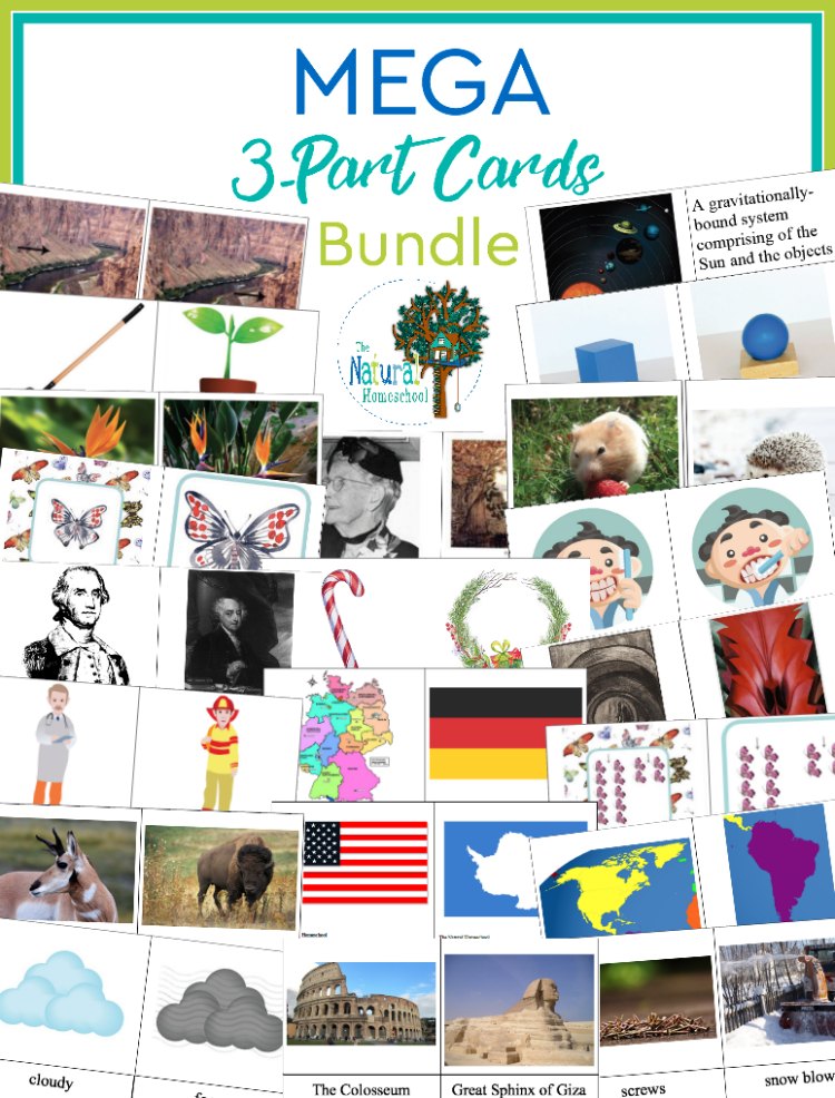 Montessori 3-part Cards MEGA Bundle ~ 48 Sets