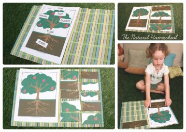 Botany for Kids Printable Bundle {Activities, Printables, Ideas ...