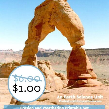 SPECIAL! Facts on Weathering, Erosion & Deposition BUNDLE