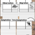 Animals in Winter Bundles #1 & #2 (Hibernation, Migration, Adaptation)