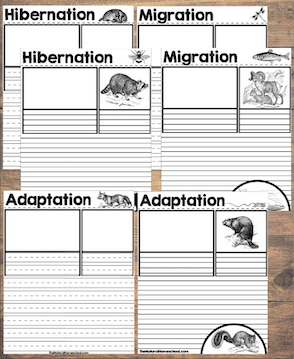 Animals in Winter Bundle #2 (Hibernation, Migration, Adaptation)