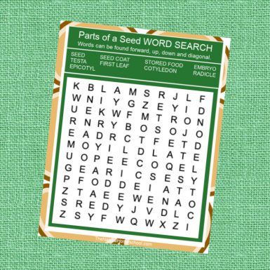 Montessori Parts of a Seed Printable Bundle - The Natural Homeschool Shop