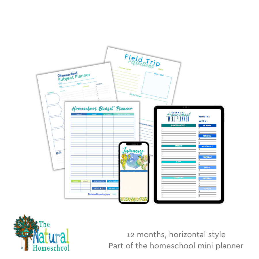 Are you looking for a homeschool planner that will get you started on your homeschool year right? If so, then come and take a look at this great homeschool mini planner.