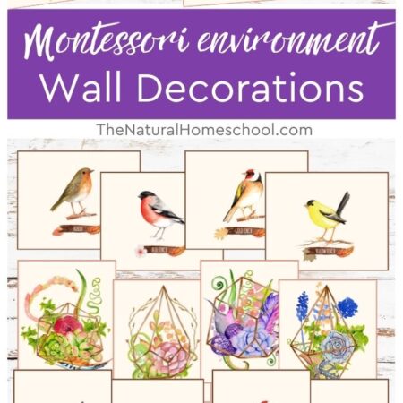 16 Homeschool room or Montessori environment wall decorations (succulents and birds)