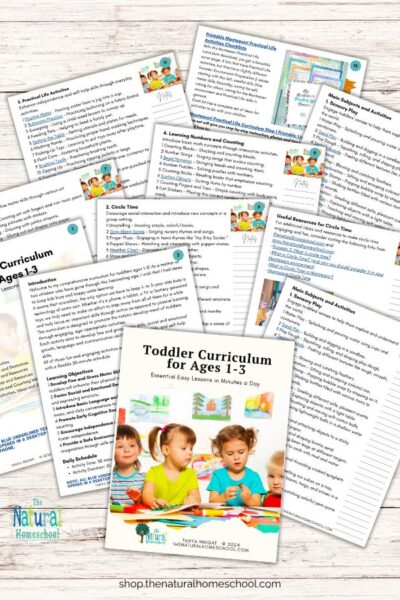 Our Toddler Curriculum is meticulously designed to empower your child with essential life skills while making learning fun and exciting.